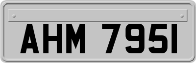 AHM7951