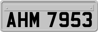 AHM7953