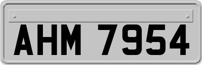 AHM7954