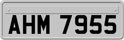 AHM7955