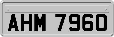 AHM7960