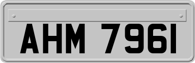 AHM7961