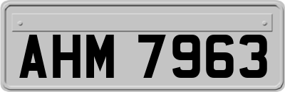 AHM7963