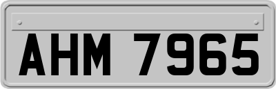 AHM7965