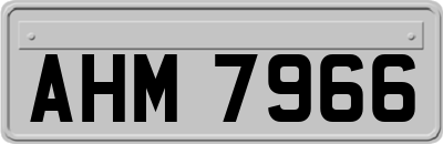 AHM7966