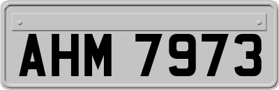 AHM7973