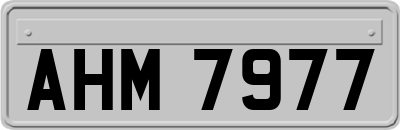 AHM7977