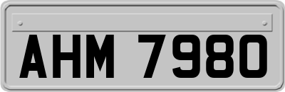 AHM7980