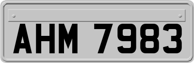 AHM7983