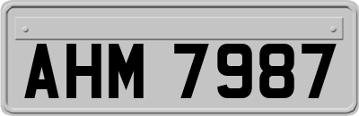 AHM7987