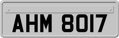 AHM8017