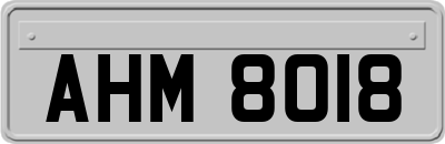 AHM8018