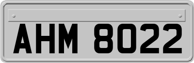 AHM8022