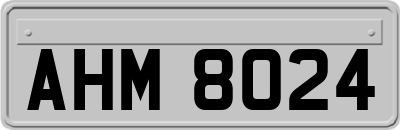 AHM8024