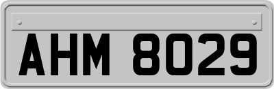 AHM8029