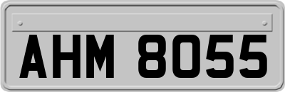 AHM8055