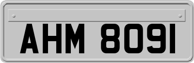 AHM8091