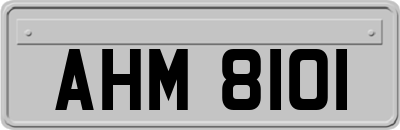 AHM8101