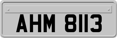AHM8113