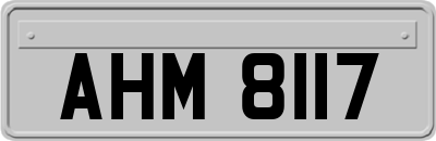 AHM8117