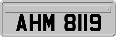 AHM8119