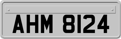 AHM8124