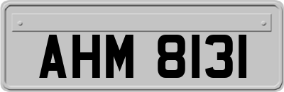 AHM8131