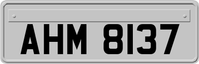 AHM8137