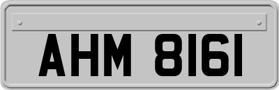 AHM8161