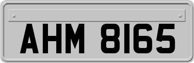 AHM8165