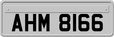 AHM8166