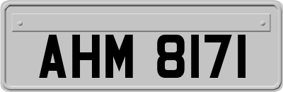 AHM8171