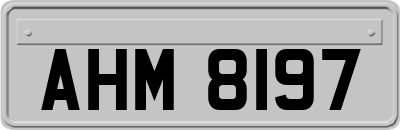 AHM8197