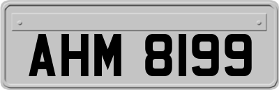AHM8199