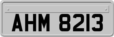 AHM8213
