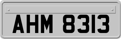 AHM8313