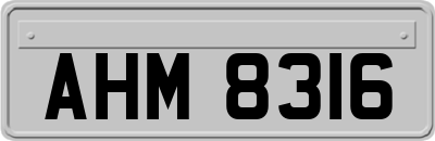 AHM8316