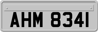 AHM8341