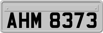 AHM8373