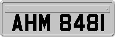AHM8481