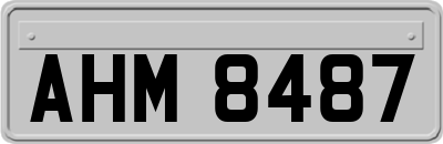 AHM8487