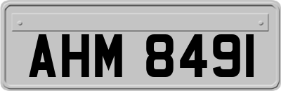 AHM8491