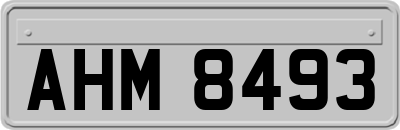 AHM8493