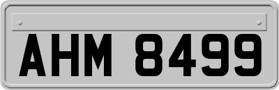 AHM8499