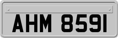 AHM8591