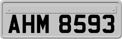 AHM8593