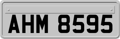 AHM8595