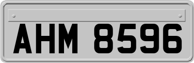 AHM8596