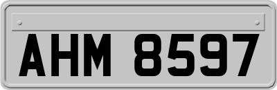 AHM8597