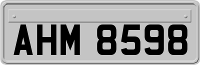 AHM8598